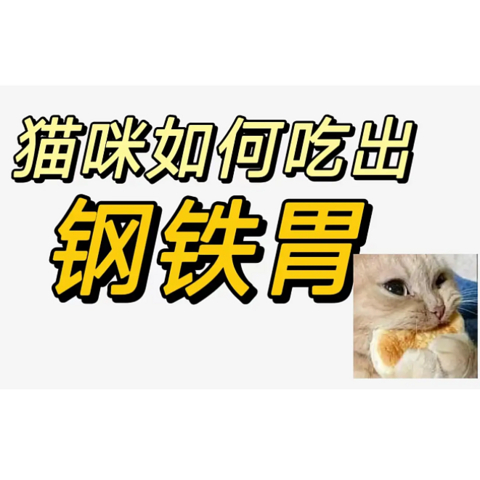 【业内人士】猫咪软便/腹泻/便秘/便臭：选错猫粮背大锅！如何靠猫粮吃出“钢铁胃”？