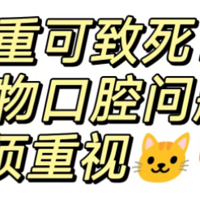 猫狗口臭影响寿命：如何科学自检、预防与应对？小壳|卫仕|MAG洁齿产品有效性分析