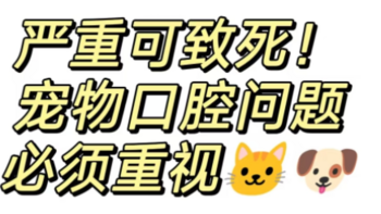 猫狗口臭影响寿命：如何科学自检、预防与应对？小壳|卫仕|MAG洁齿产品有效性分析