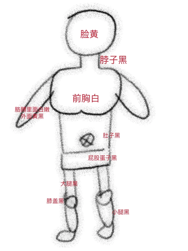 全身上下黑的五彩斑斓……（成功上岸版）。夏天过去了
黄黑皮姐妹是不是开始发愁！
怎么这个夏天晒黑了那么多！
那这个秋天不要错过余香物语美白身体乳喷雾
每喷一次皮肤都更白嫩一点！
简直是美白届的扛把子！