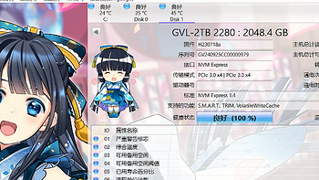 【捡垃圾3.0】569元2T固态硬盘，固德佳GVL 2T！Nvme PCIE3.0