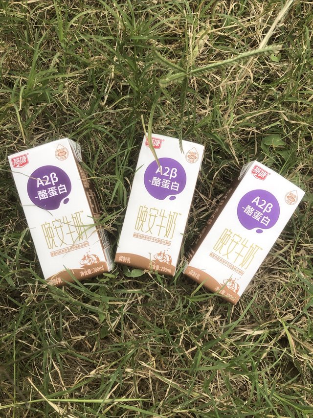 含有天然活性肽的牛奶，每晚与你相伴入眠。