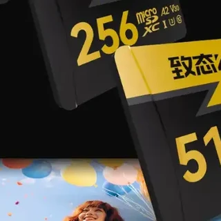 2025年1月 游戏掌机TF存储卡（MicroSD）选购推荐——高速不贵