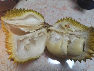 这季节适合吃榴莲吗