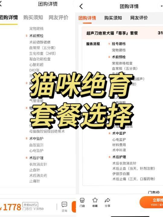 猫咪绝育超全整理（永久不删）