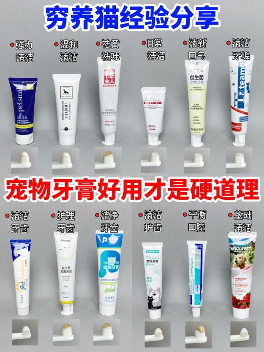 穷养猫经验分享！宠物牙膏好用才是硬道理！