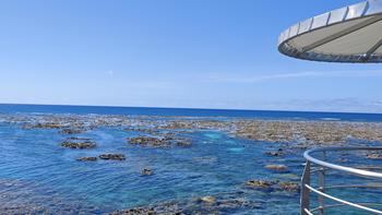 土澳两周万字游记:D3梦幻丽礁号摩尔礁浮潜 