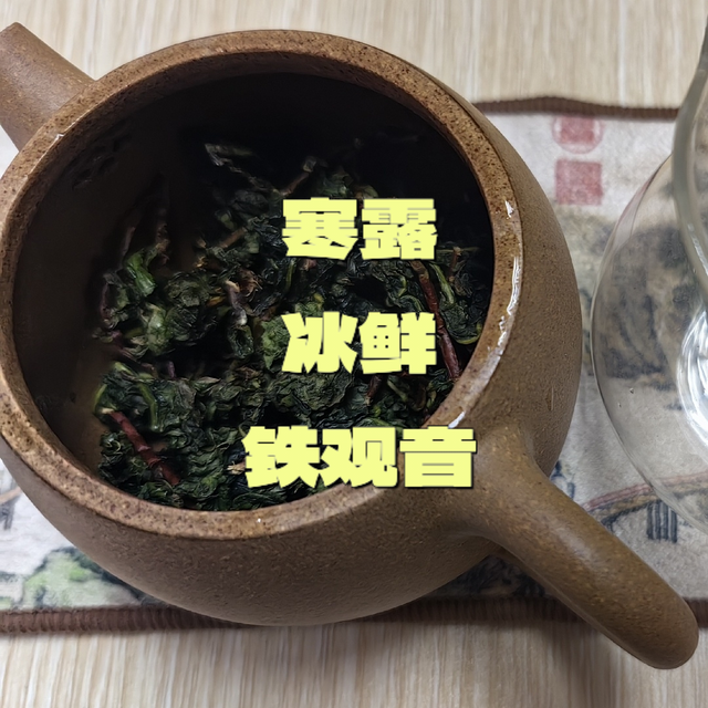 挚友雅赠·寒露·冰鲜铁观音