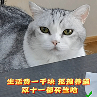 生活费一千块，抠搜养猫，双十一都买些啥