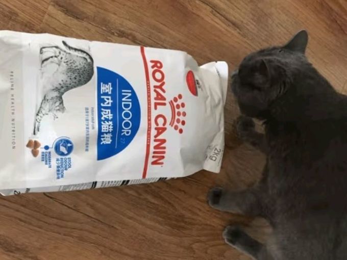 猫咪干粮