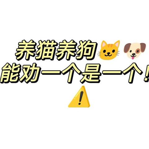 双十一囤货：这些猫狗保健品不是智商税