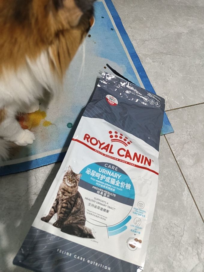 皇家猫咪干粮