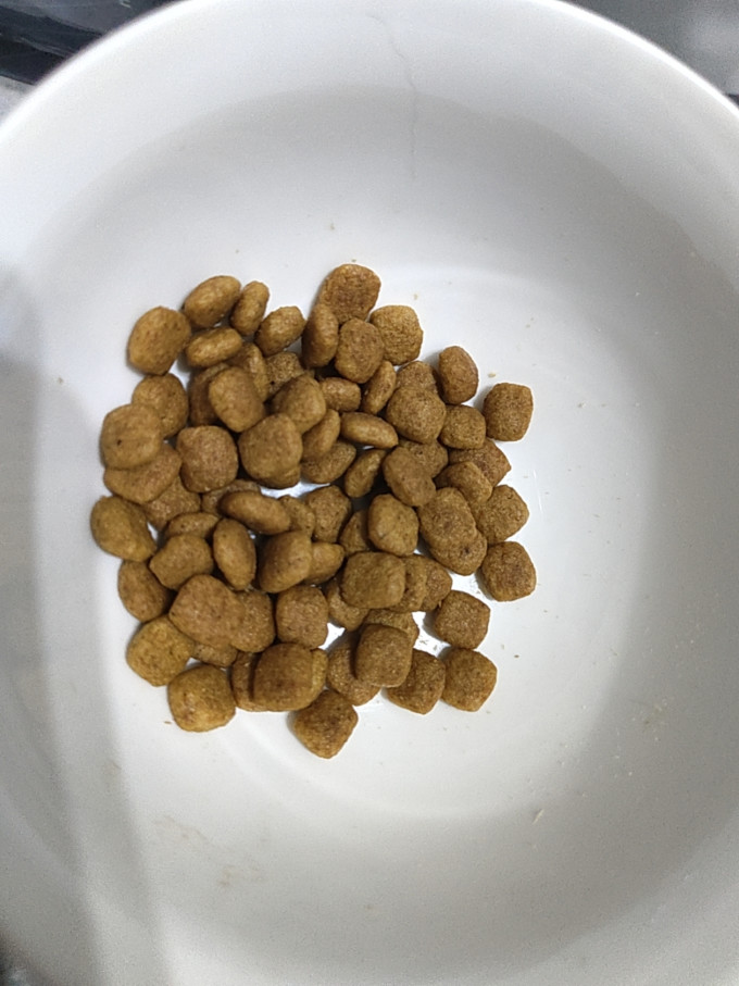 皇家猫咪干粮
