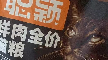 聪颖猫粮，高营养吃出好身体