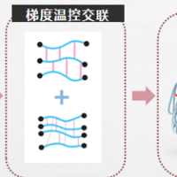 新品上市！伊尔丝玻尿酸引领市场注入新活力