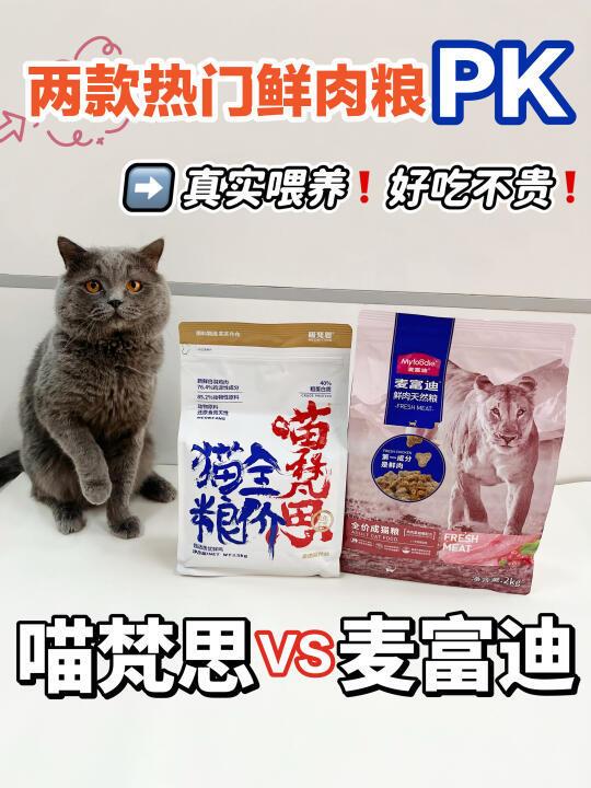猫咪不长肉❓是不是粮没选对❓