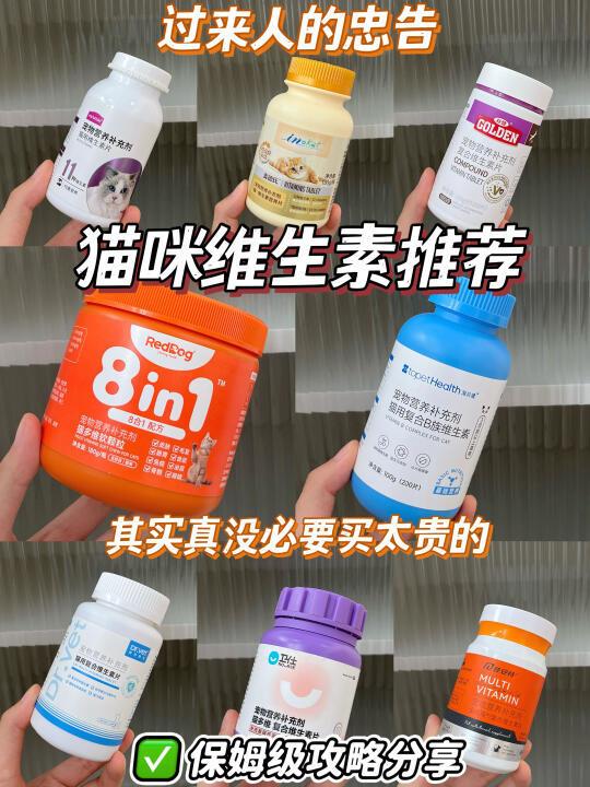 新手养猫离不开维生素！让猫咪掉毛少还长肉