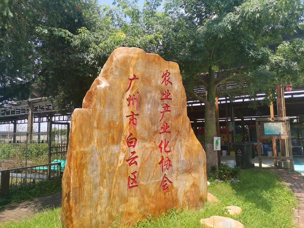 六一儿童节：途安与丰华园的欢乐记忆