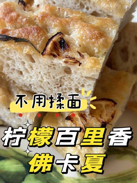 #在家吃# 我真是劳模！不用揉面的柠檬百里香佛卡夏，过程都仔仔细细给你们拍啦。跟着一步一步做，肯定能成功～话说拍视频菜谱也太累了，我一个人又做又录又剪，整整搞了半天。如果你们喜欢（或者不喜欢）这种形式