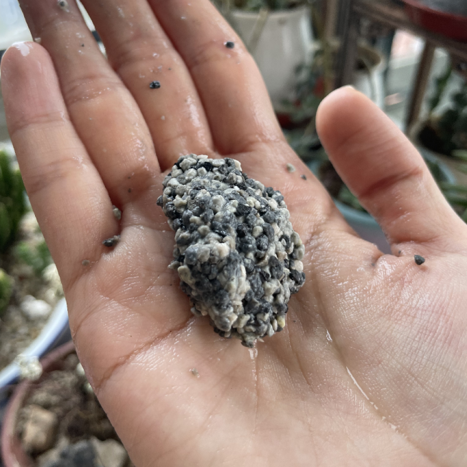 铂钻猫砂