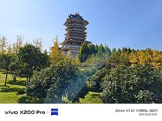 多图|VIVO X200 Pro拍照炫光名场面。。。