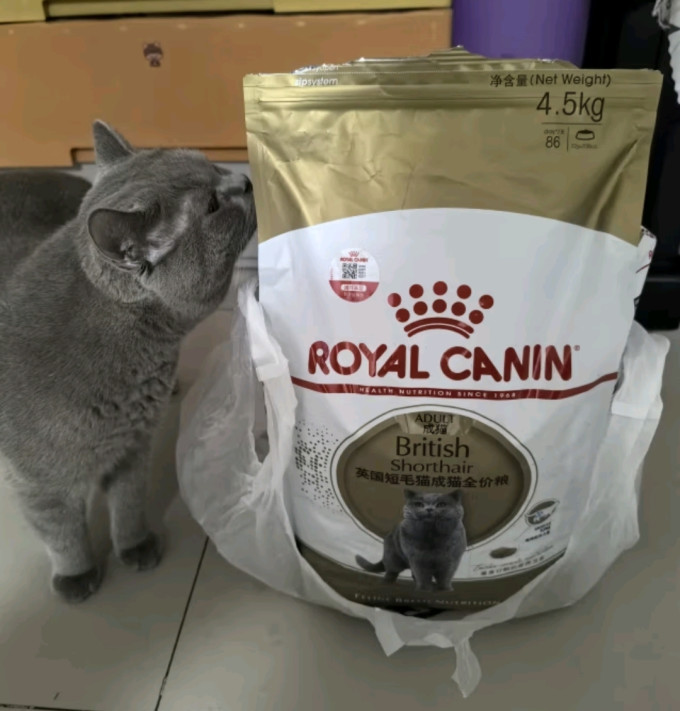 皇家猫咪干粮