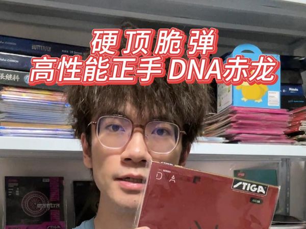 【聊聊胶皮】硬顶脆弹，高性能正手？DNA赤龙体验分享，附赤龙80周年全网首发展示