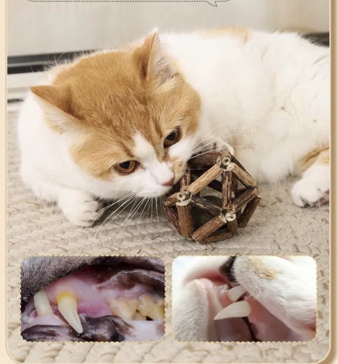 华元宠具猫抓板