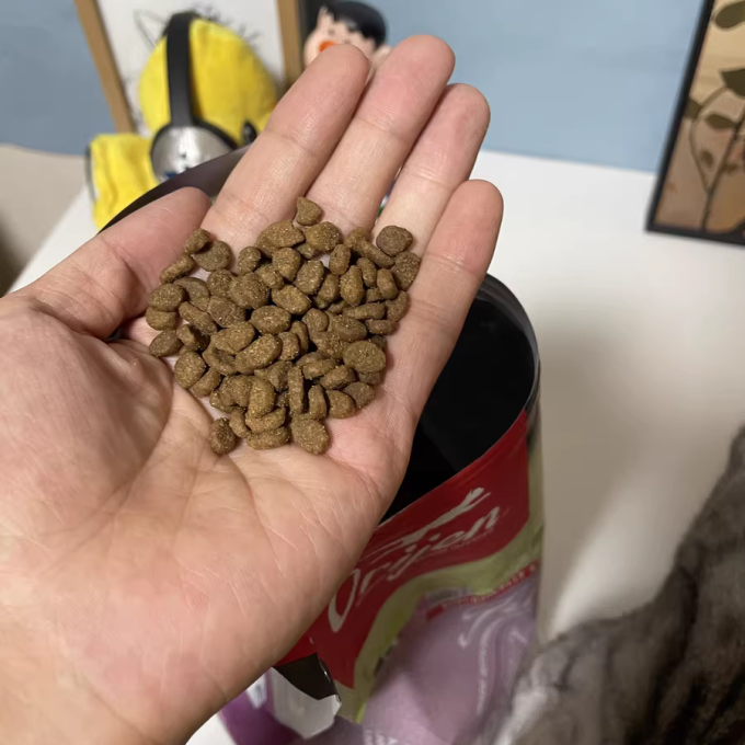猫咪干粮