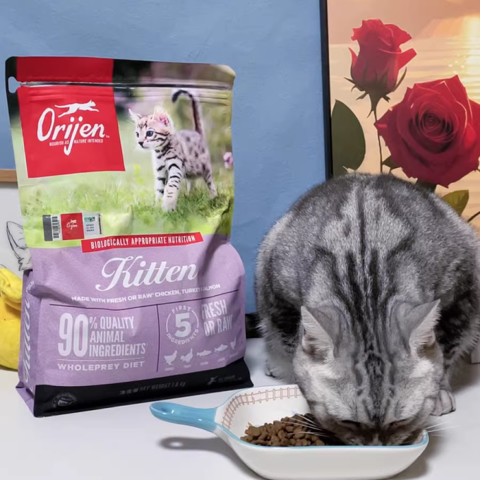 猫咪干粮