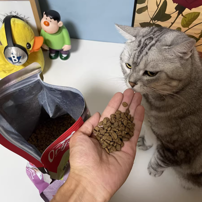 猫咪干粮