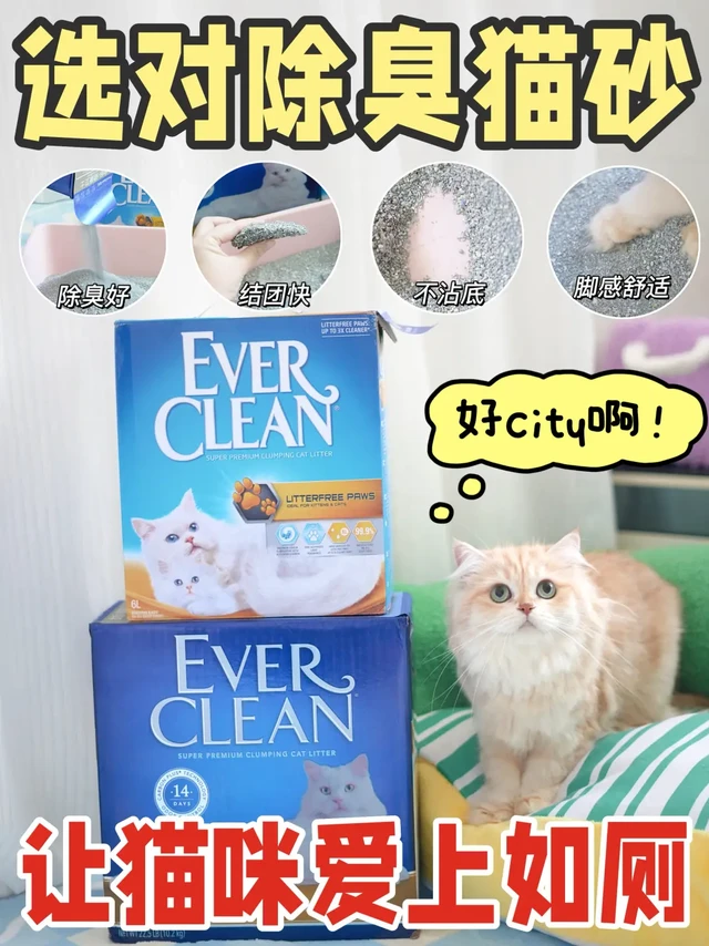 双11猫砂冲哪款！这个猫砂尊嘟可以放心冲！！