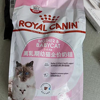 奶猫猫粮第一步，皇家奶糕炫进肚