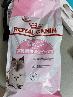 奶猫猫粮第一步，皇家奶糕炫进肚