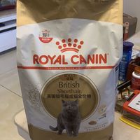 吃的比我都好，都给我看饿了