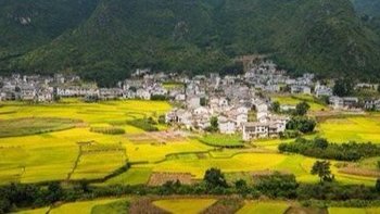 现代家居装修设计原则与技巧 