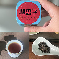 寻味六堡茶，梧州出品的相思子六堡茶冲泡体验！