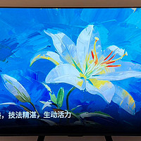 海信E7N深度体验：整体领先OLED，到底有什么黑科技？