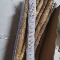 山药养生：健康生活的秘密武器？