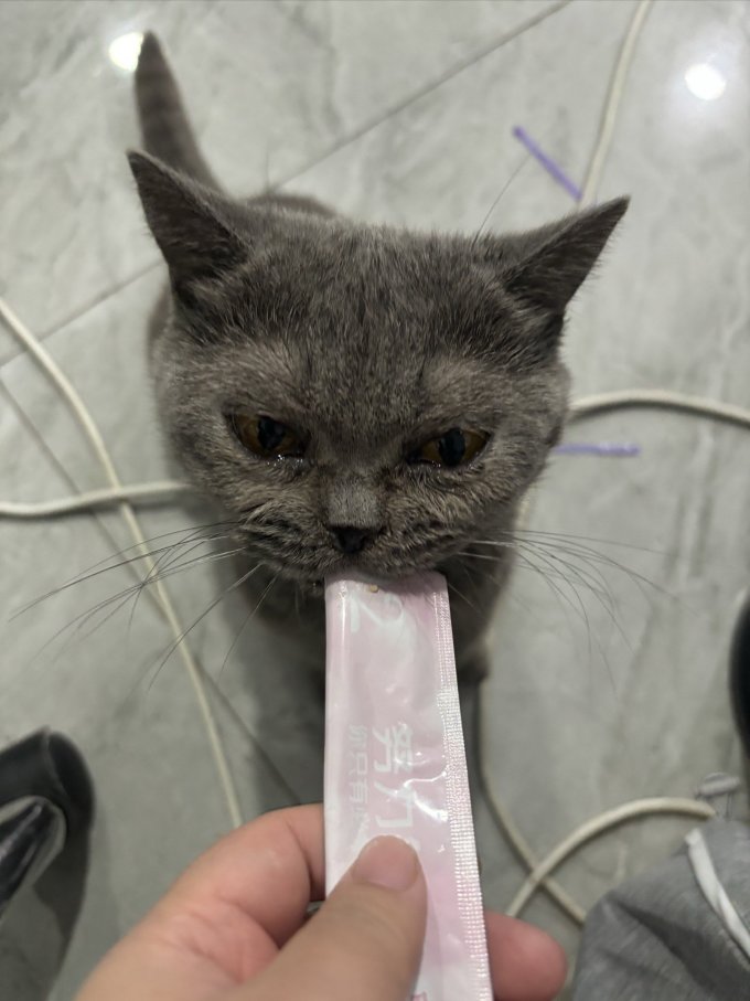 可噜噜猫咪肉质零食
