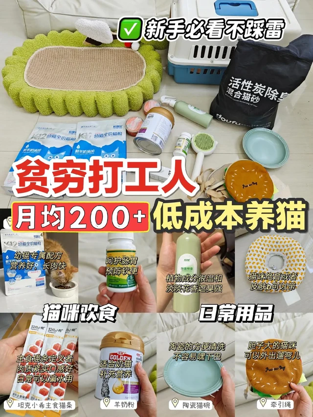 低成本养猫清单🧾，月均💰300搞定‼
很多姐妹都有一个误区👉那就是养猫很贵很费钱💰，但是有经验的养猫人都知道~其实普通人养猫真的没那么贵啊！
🐱养猫每月开销完全算得出来的，今天给大家出一期💰低成本的养