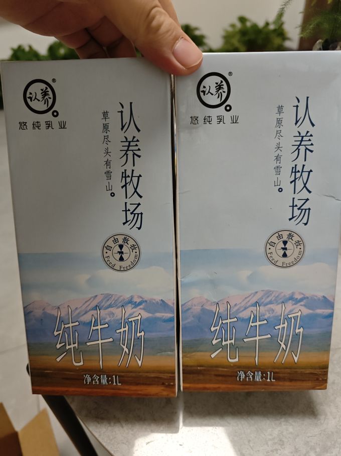 常温牛奶