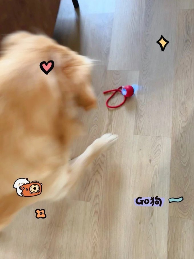 其他狗狗玩具
