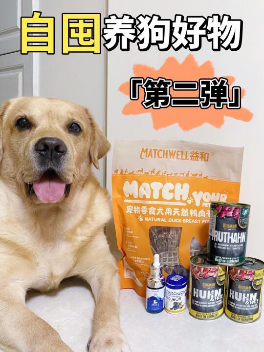 自囤的养狗🐶好物分享「第二弹」