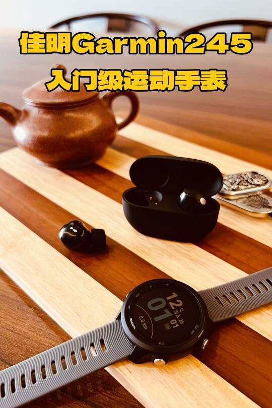 性价比之王｜佳明245
