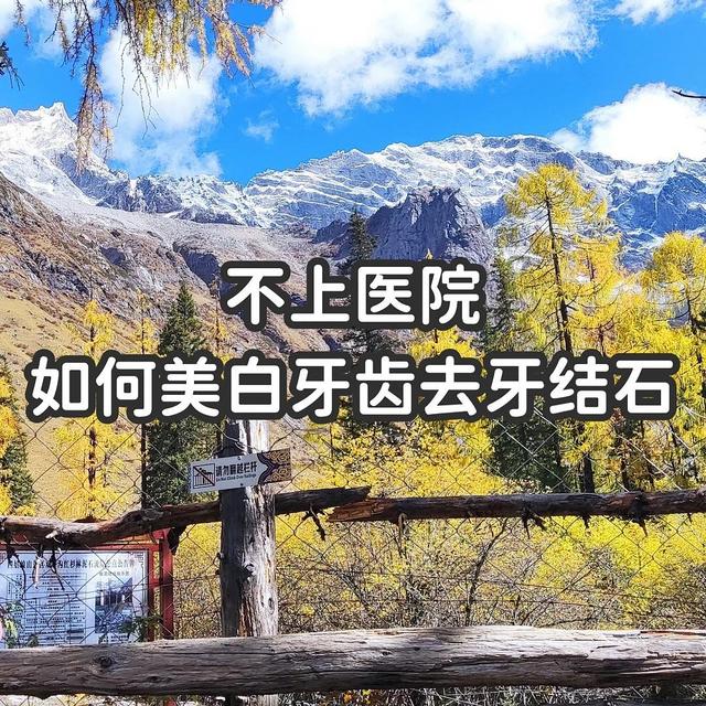 不上医院，如何美白牙齿去除牙结石（护牙篇）