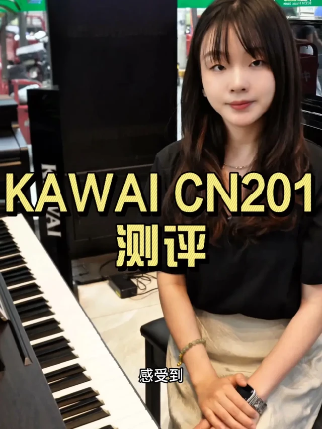 卡瓦依CN201测评