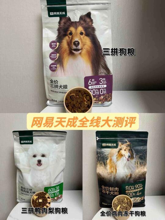 网易天成全集！真爱粉测评三款狗粮
