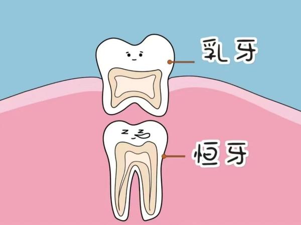 贵的电动牙刷比便宜的电动牙刷更好用吗？低价位电动牙刷究竟能不能买？2024电动牙刷保姆级选购攻略