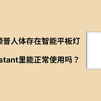 领普人体存在智能平板灯在homeassistant里能正常使用吗？